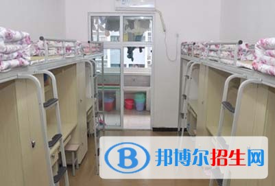 컯ְҵѧԺƴר2020