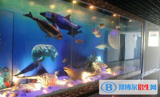 北京五十五中学国际部地址在哪里