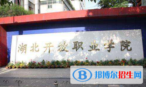 湖北开放职业学院是几专