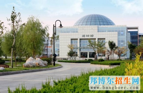 临沂大学博物馆7374