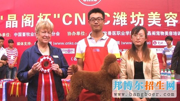 山东畜牧兽医职业学院宠物美容大赛7668