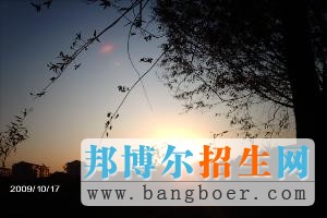 山东外事翻译职业学院日落8137