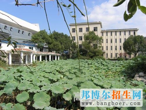 台州科技职业学院校园一角3997