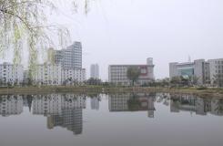 安徽国防科技职业学院“柳”恋湖光倒影5094