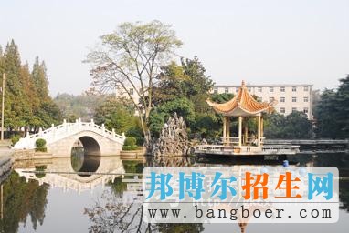 合肥共达职业技术学院校园一角5030