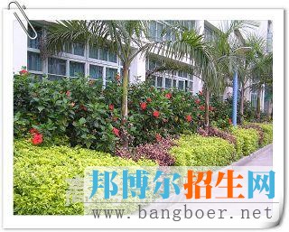 福州黎明职业技术学院校园一角5906