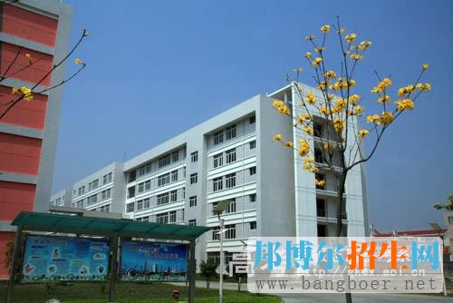 漳州城市职业学院校园一角5847