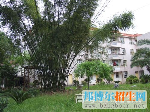 武夷山职业学院校园一角5797