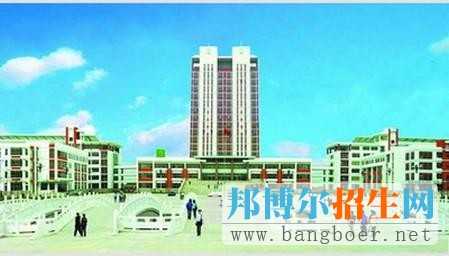 青岛农业大学海都学院校园一角7081