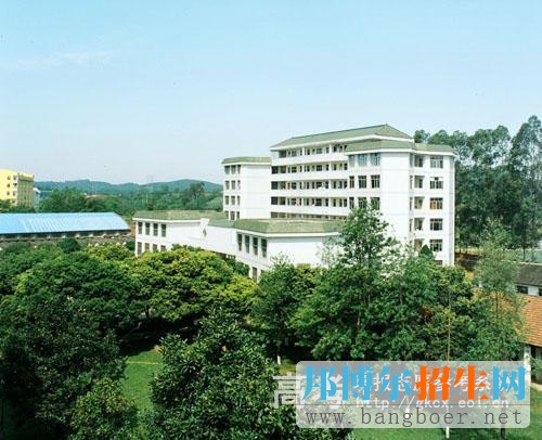 柳州师范高等专科学校校园一角486