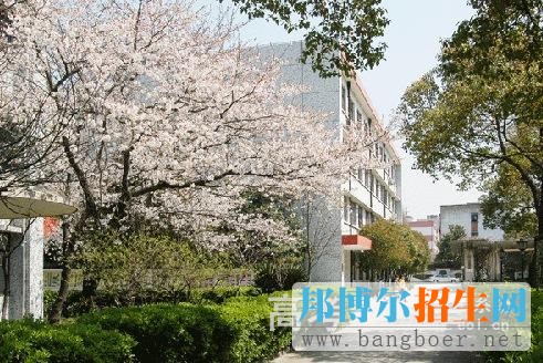 上海健康职业技术学院校园一角1520