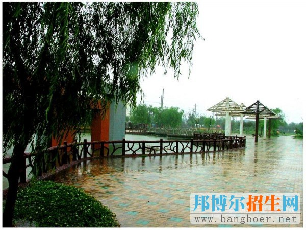 山东工业职业学院雨中花园7966