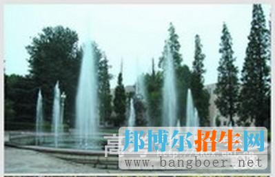 青岛农业大学海都学院校园一角7082