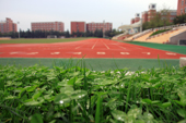 西安欧亚学院校园一角4886