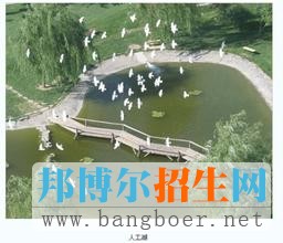 对外经济贸易大学
