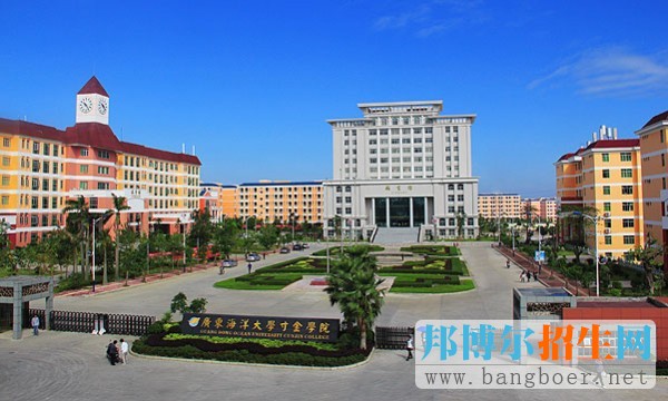 广东寸金