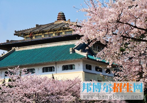 武汉大学