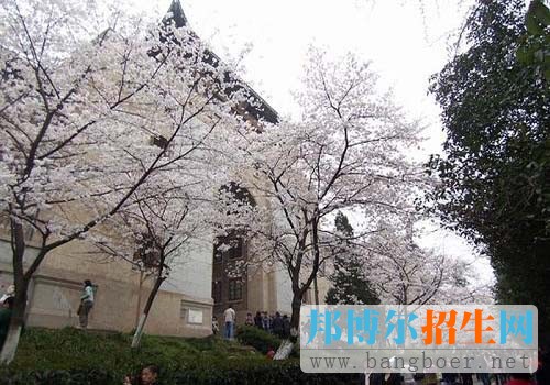 武汉大学