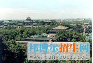 武汉大学