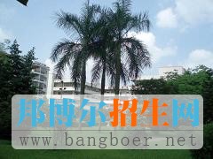 南华工商学院校园一角12901