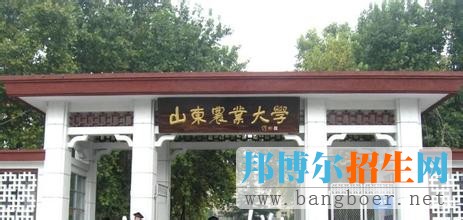 山东农业