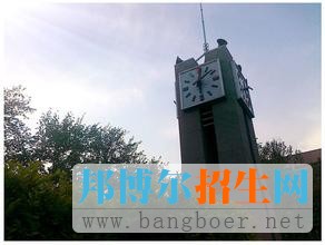 备用9