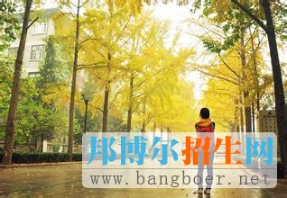 北京林业大学4