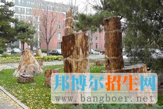 北京林业大学18