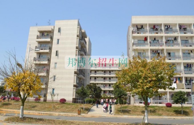 四川华新现代职业学院是几专