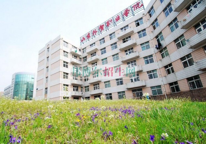山东外贸职业学院是几专