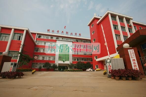 湖北青年职业学院是几专
