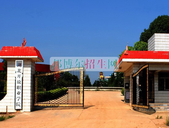湖北开放职业学院网站网址