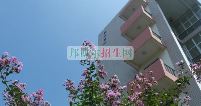 河南职业技术学院是几专