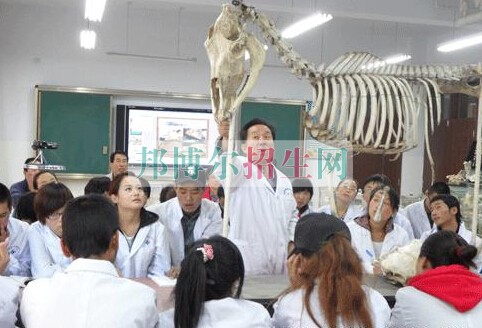 青海畜牧兽医职业技术学院