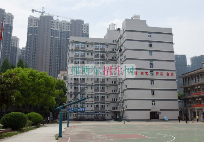 武汉科技职业学院网站网址