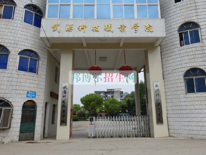 武汉科技职业学院是几专