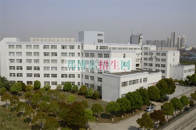 武汉信息传播职业技术学院是几专