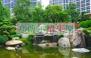 中专有哪些职业