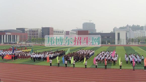 哪些学校有导游