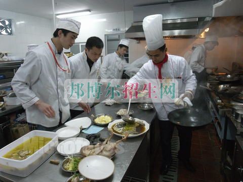 厨师开设有哪些课程