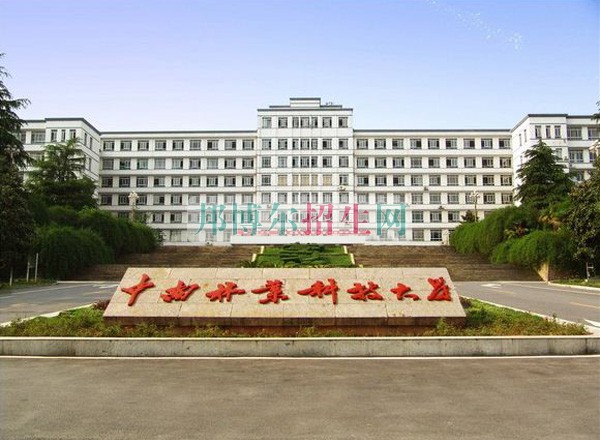 软件技术好找工作吗