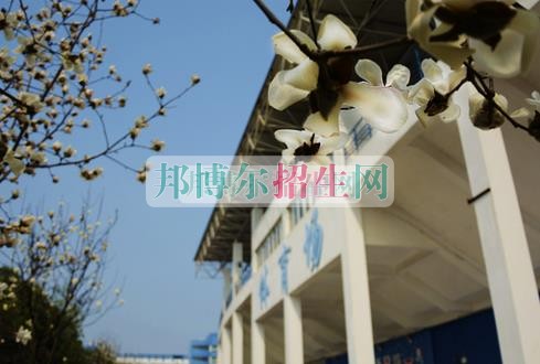 计算机应用技术职业学校哪家好