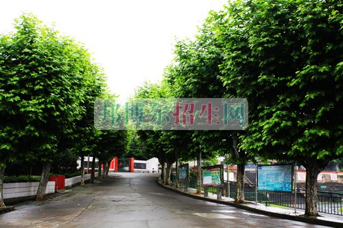 哪个大专学校海乘海员好