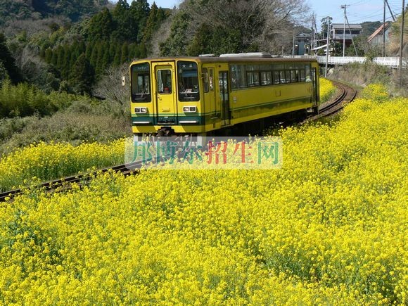 有哪些铁道工程技术专业学校