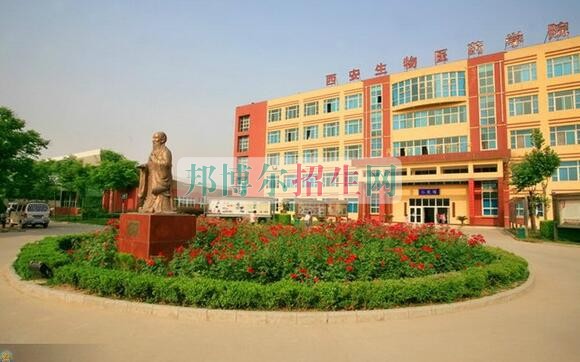 初中毕业学口腔医学的学校