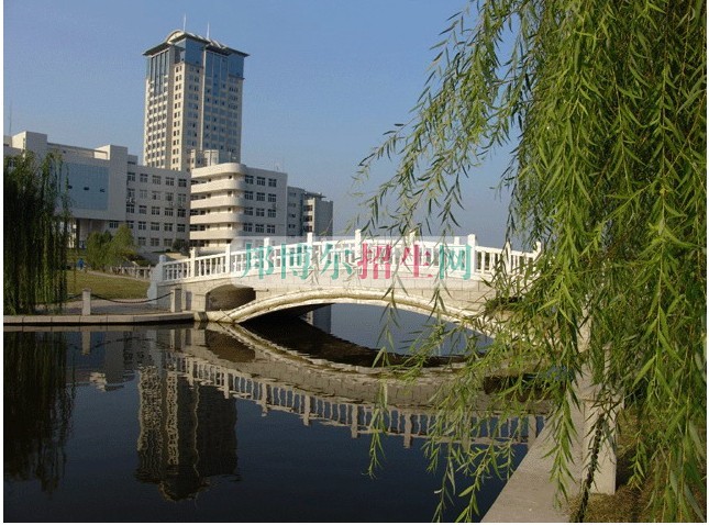 高中毕业学民航商务