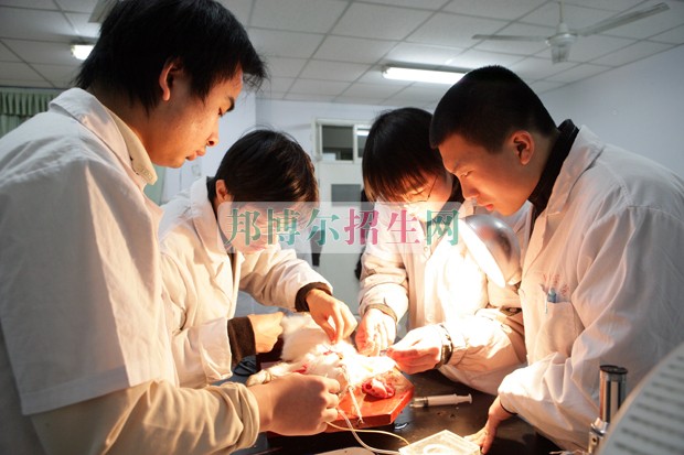 比较好的临床医学学校