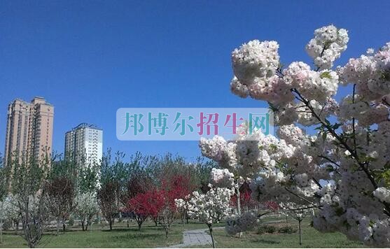 大专有应用电子技术吗