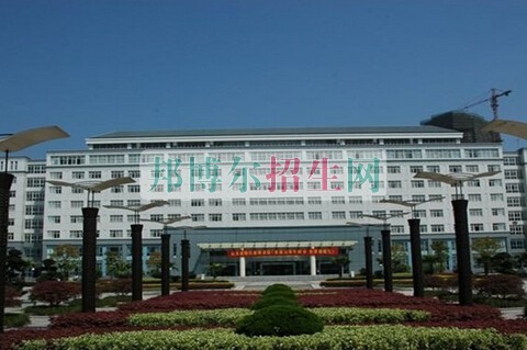 针灸推拿适合女生学吗