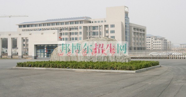 有几个康复治疗学校